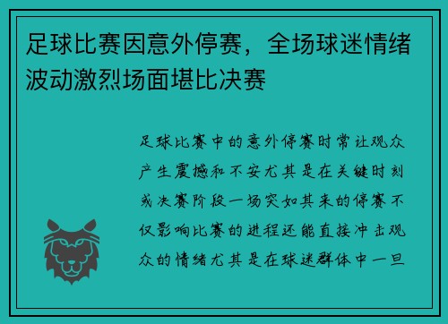 足球比赛因意外停赛，全场球迷情绪波动激烈场面堪比决赛