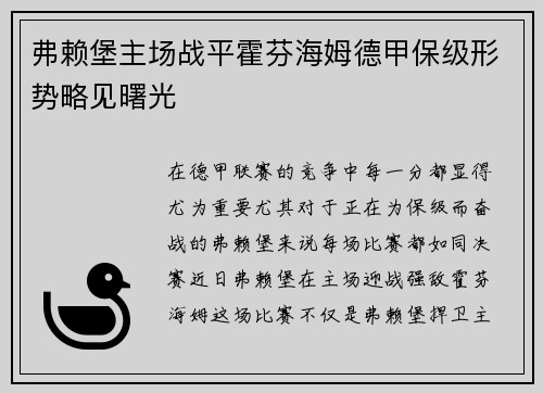弗赖堡主场战平霍芬海姆德甲保级形势略见曙光