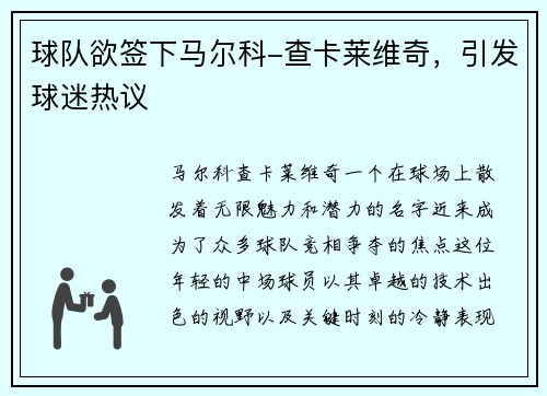 球队欲签下马尔科-查卡莱维奇，引发球迷热议