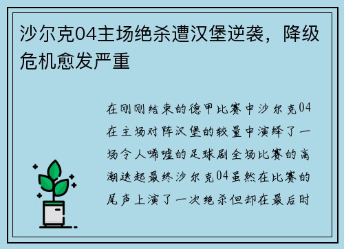 沙尔克04主场绝杀遭汉堡逆袭，降级危机愈发严重