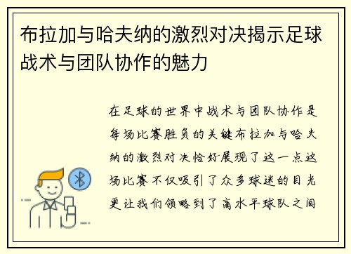 布拉加与哈夫纳的激烈对决揭示足球战术与团队协作的魅力