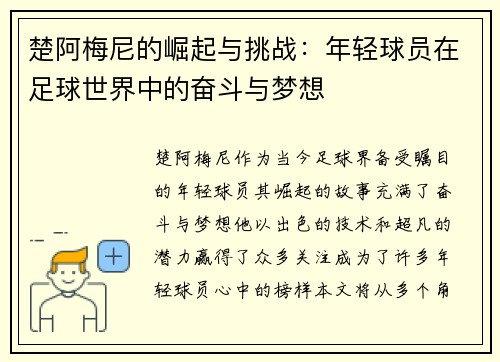 楚阿梅尼的崛起与挑战：年轻球员在足球世界中的奋斗与梦想
