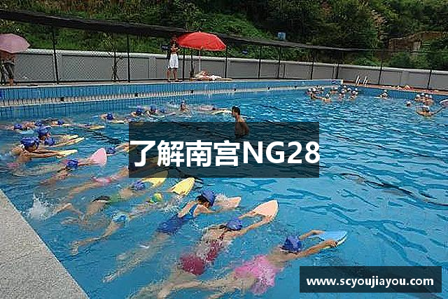 了解南宫NG28